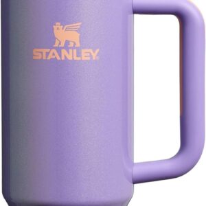 STANLEY 1913 Quencher H2.0 Flowstate Trinkflasche Mit Strohhalm 0.89L – Thermobecher Kühlt 9